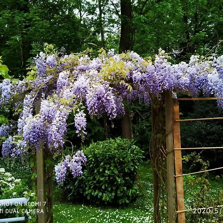 فندق مبيت وإفطار Holly Wood