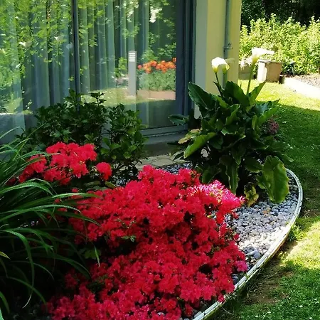 فندق مبيت وإفطار Holly Wood